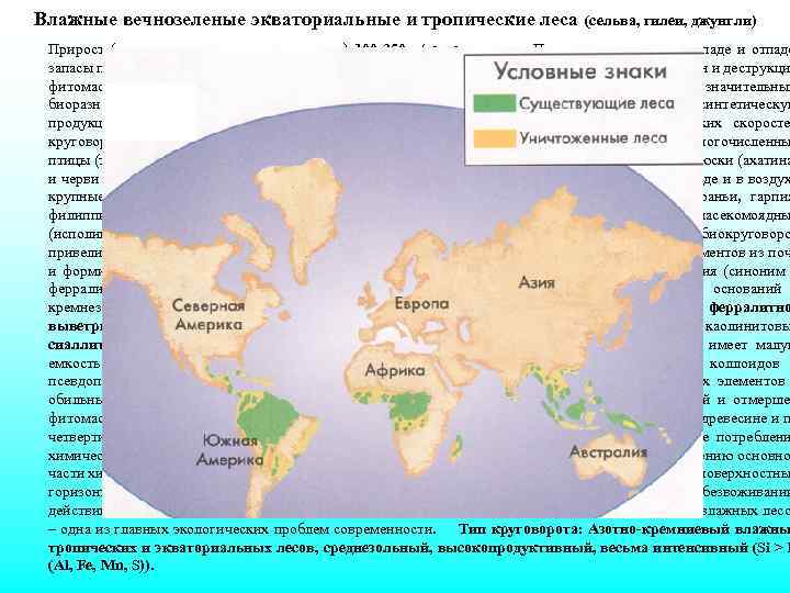 Влажные вечнозеленые экваториальные и тропические леса (сельва, гилеи, джунгли) Прирост (чистая первичная продуктивность) 100