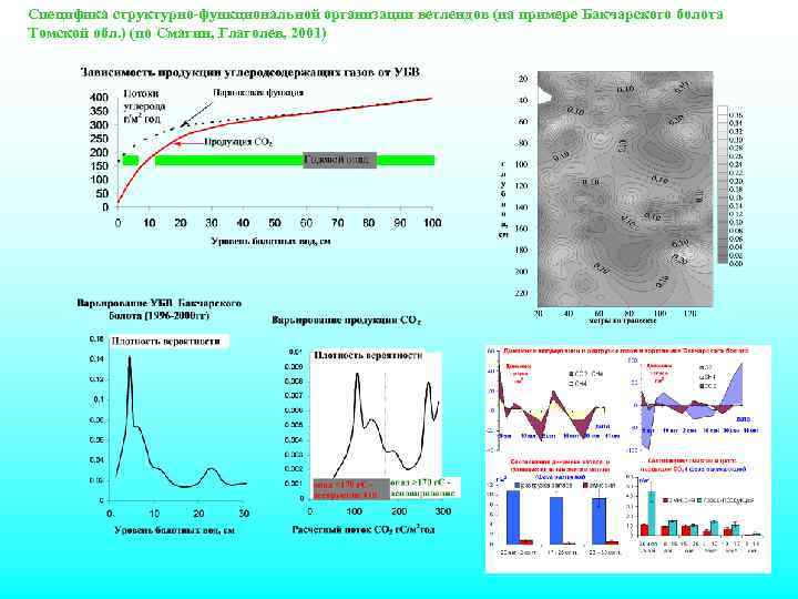 Специфика структурно-функциональной организации ветлендов (на примере Бакчарского болота Томской обл. ) (по Смагин, Глаголев,