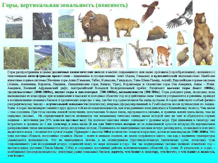 Горы, вертикальная зональность (поясность) Горы распространены в самых различных климатических поясах в местах современного