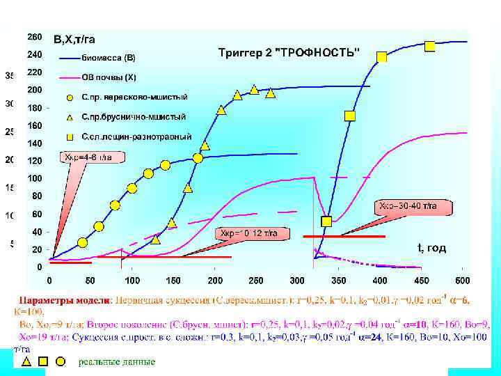 Нелинейные триггерные модели функционирования лесных биокосных систем 