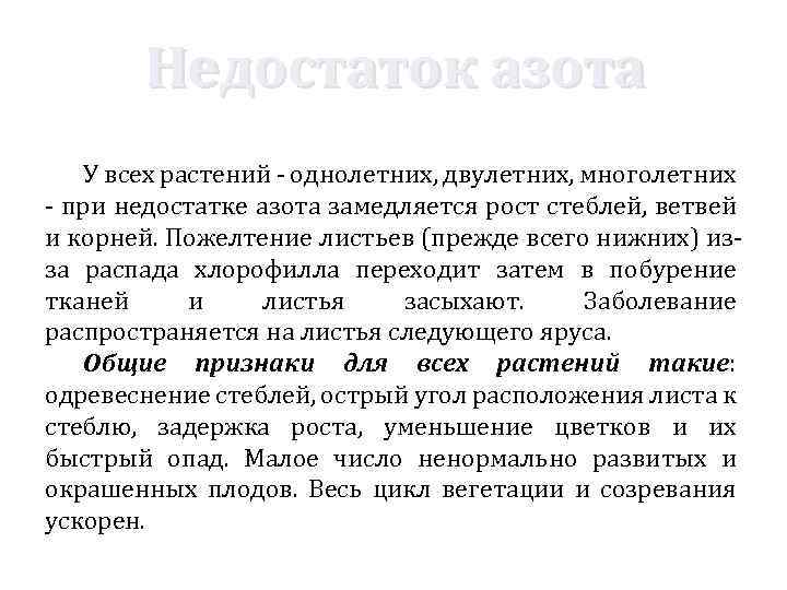 Недостаток азота У всех растений - однолетних, двулетних, многолетних - при недостатке азота замедляется