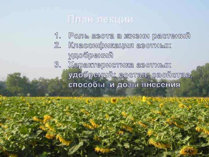 План лекции 1. Роль азота в жизни растений 2. Классификация азотных удобрений 3. Характеристика