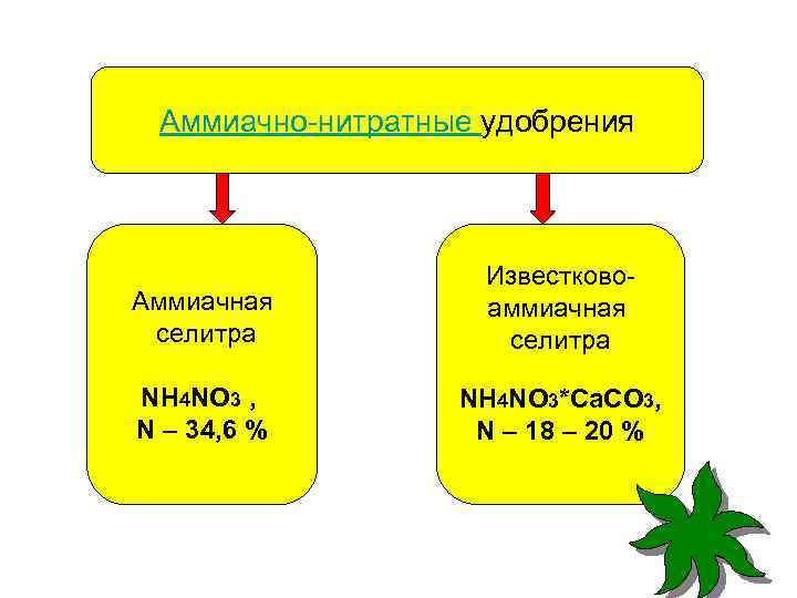 Аммиачно-нитратные удобрения Аммиачная селитра Известковоаммиачная селитра NH 4 NO 3 , N – 34,