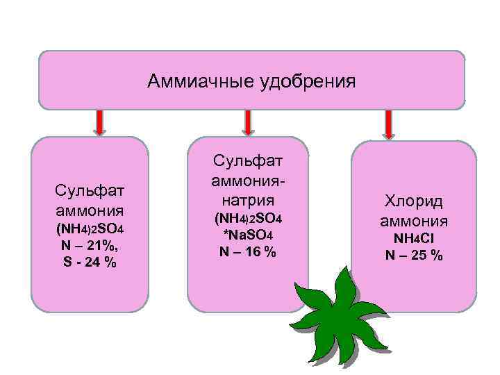 Аммиачные удобрения Сульфат аммония (NH 4)2 SO 4 N – 21%, S - 24