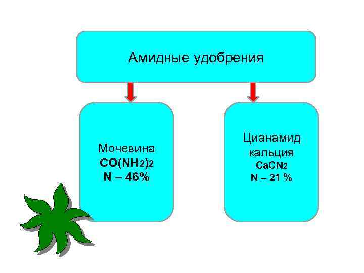 Амидные удобрения Мочевина CO(NH 2)2 N – 46% Цианамид кальция Ca. CN 2 N