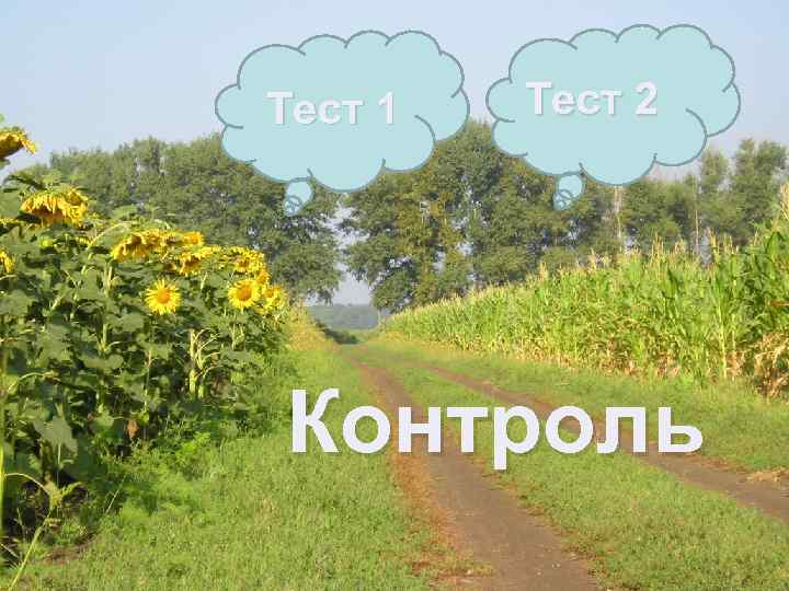 Тест 1 Тест 2 Контроль 