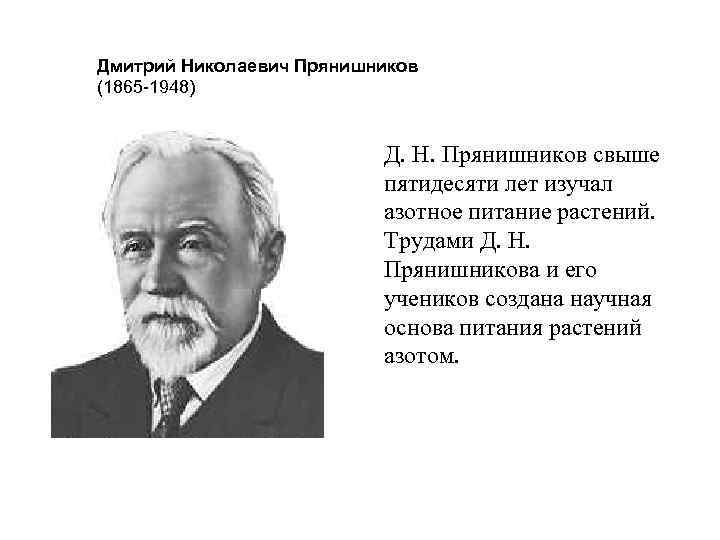 Дмитрий Николаевич Прянишников (1865 -1948) Д. Н. Прянишников свыше пятидесяти лет изучал азотное питание