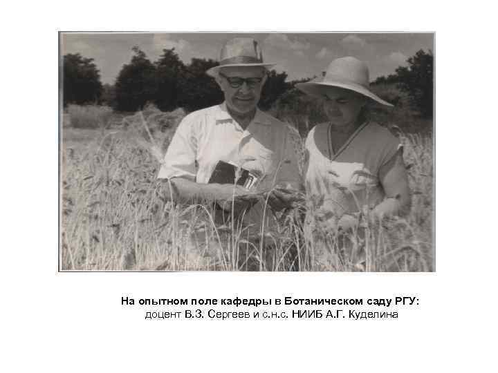 На опытном поле кафедры в Ботаническом саду РГУ: доцент В. З. Сергеев и с.