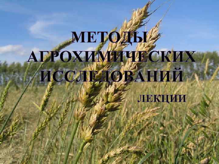МЕТОДЫ АГРОХИМИЧЕСКИХ ИССЛЕДОВАНИЙ ЛЕКЦИИ 