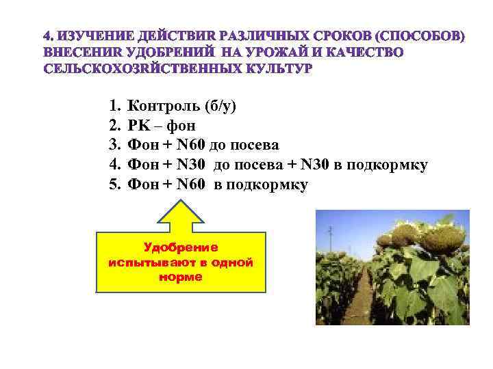 1. 2. 3. 4. 5. Контроль (б/у) PK – фон Фон + N 60