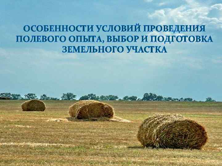 Особенности условий. Особенности проведения полевого опыта. Специфика полевого опыта с древесными культурами. Выбор и подготовка земельного участка для опыта.. Проведение полевого опыта на высоком техническом уровне это.