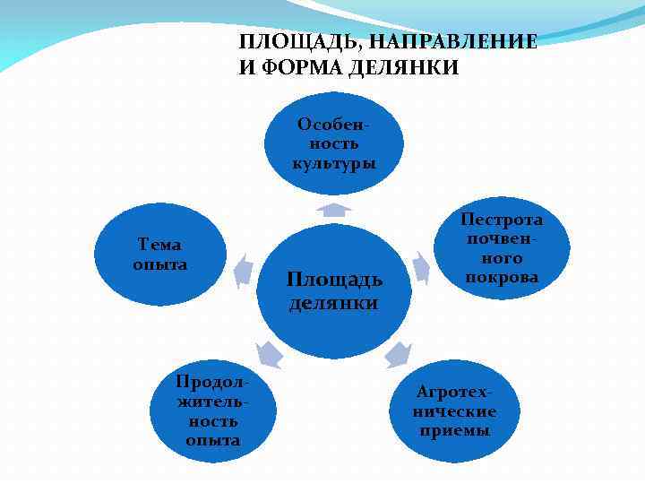 ПЛОЩАДЬ, НАПРАВЛЕНИЕ И ФОРМА ДЕЛЯНКИ Особенность культуры Тема опыта Продолжительность опыта Площадь делянки Пестрота