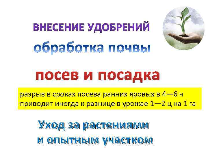 посев и посадка разрыв в сроках посева ранних яровых в 4— 6 ч приводит