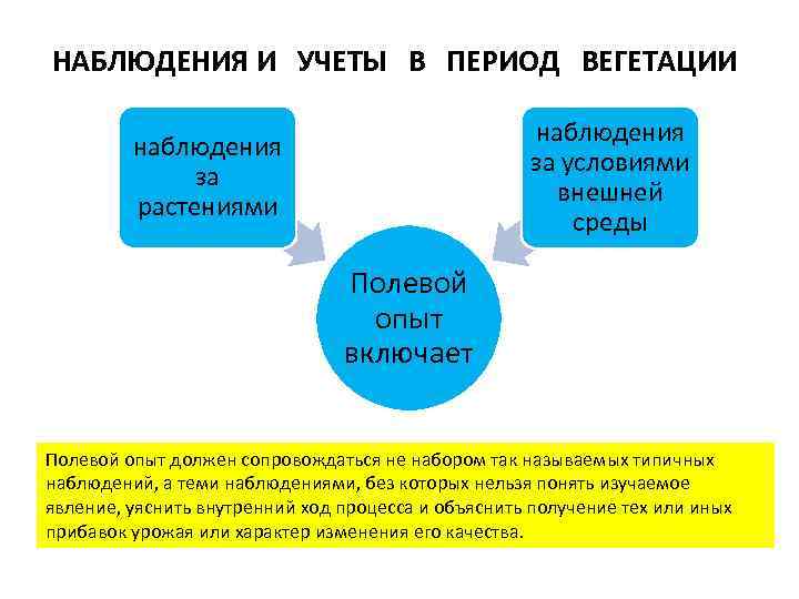 НАБЛЮДЕНИЯ И УЧЕТЫ В ПЕРИОД ВЕГЕТАЦИИ наблюдения за условиями внешней среды наблюдения за растениями