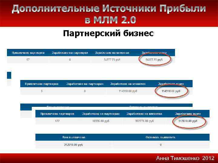 Дополнительные Источники Прибыли в МЛМ 2. 0 Партнерский бизнес Анна Тимошенко 2012 