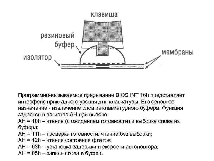 Программно-вызываемое прерывание BIOS INT 16 h представляет интерфейс прикладного уровня для клавиатуры. Его основное