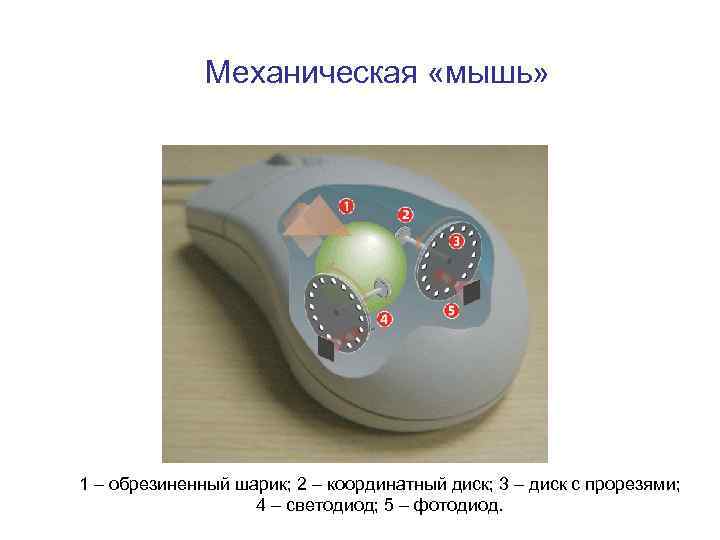 Механическая «мышь» 1 – обрезиненный шарик; 2 – координатный диск; 3 – диск с