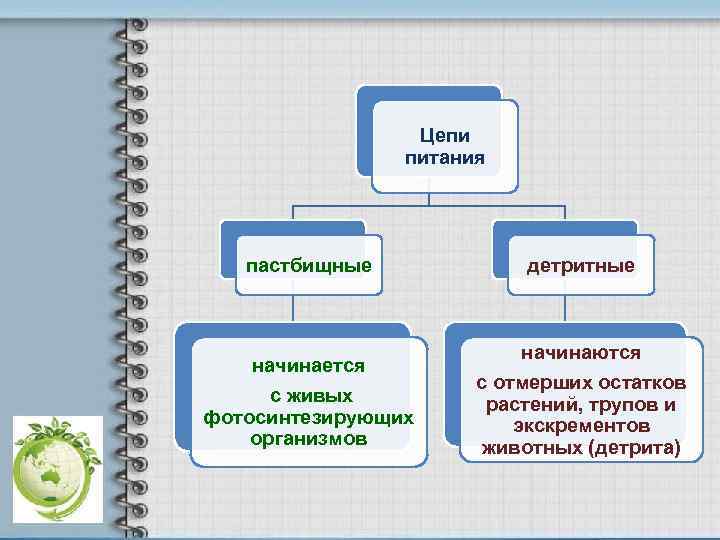 Цепи питания пастбищные детритные начинается с живых фотосинтезирующих организмов начинаются с отмерших остатков растений,