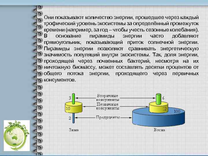 Они показывают количество энергии, прошедшее через каждый трофический уровень экосистемы за определённый промежуток времени