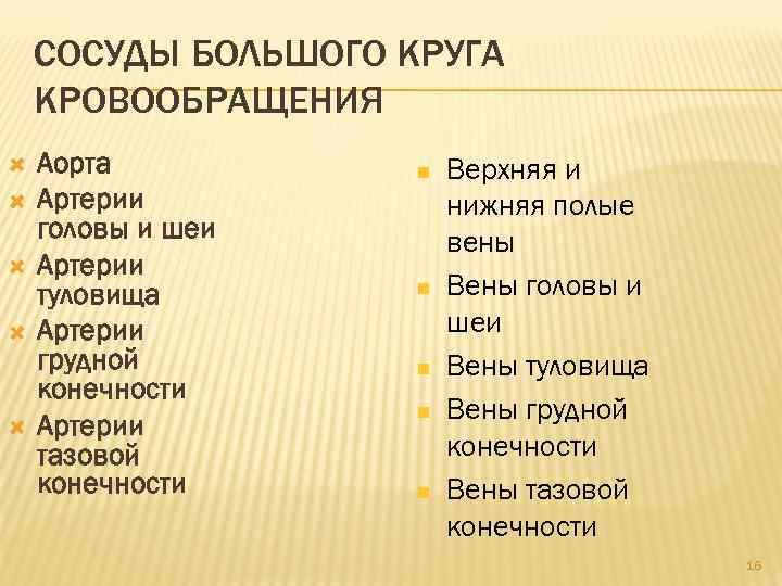 СОСУДЫ БОЛЬШОГО КРУГА КРОВООБРАЩЕНИЯ Аорта Артерии головы и шеи Артерии туловища Артерии грудной конечности