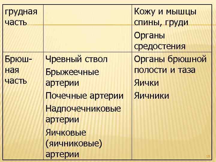 грудная часть Брюшная часть Чревный ствол Брыжеечные артерии Почечные артерии Надпочечниковые артерии Яичковые (яичниковые)