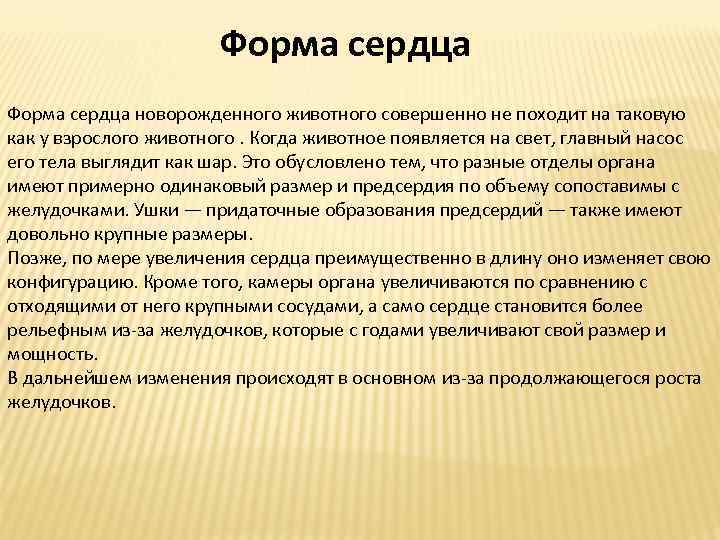 Форма сердца новорожденного животного совершенно не походит на таковую как у взрослого животного. Когда