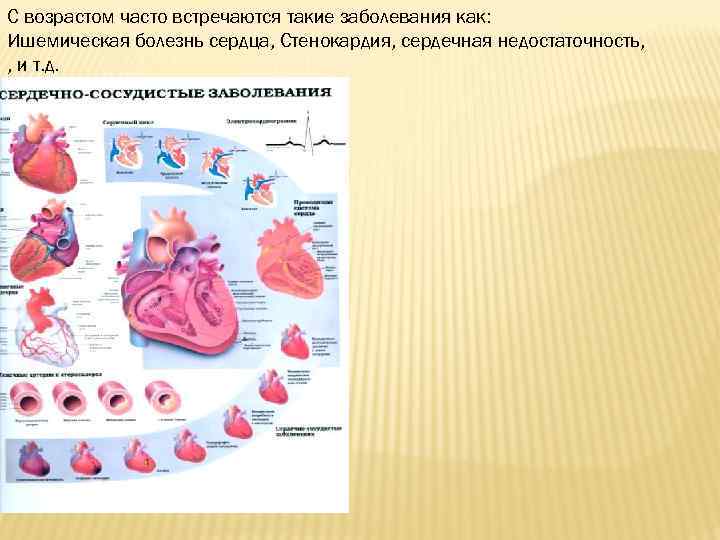 С возрастом часто встречаются такие заболевания как: Ишемическая болезнь сердца, Стенокардия, сердечная недостаточность, ,