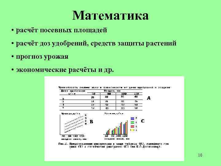 Математика • расчёт посевных площадей • расчёт доз удобрений, средств защиты растений • прогноз