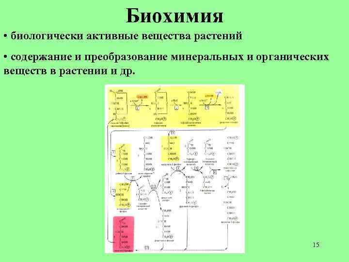 Биохимия • биологически активные вещества растений • содержание и преобразование минеральных и органических веществ