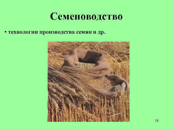 Семеноводство • технологии производства семян и др. 18 