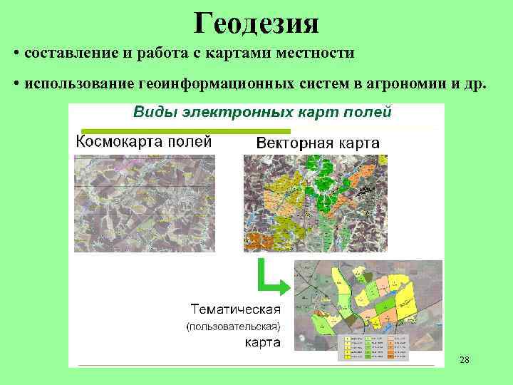 Геодезия • составление и работа с картами местности • использование геоинформационных систем в агрономии