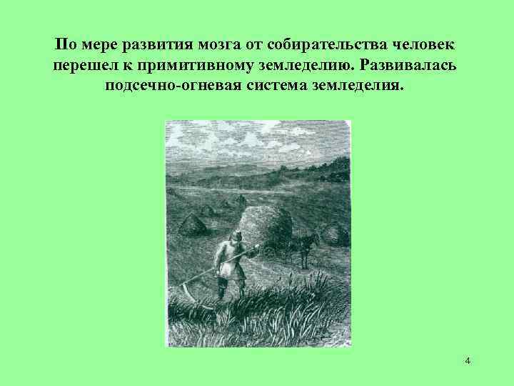 По мере развития мозга от собирательства человек перешел к примитивному земледелию. Развивалась подсечно-огневая система