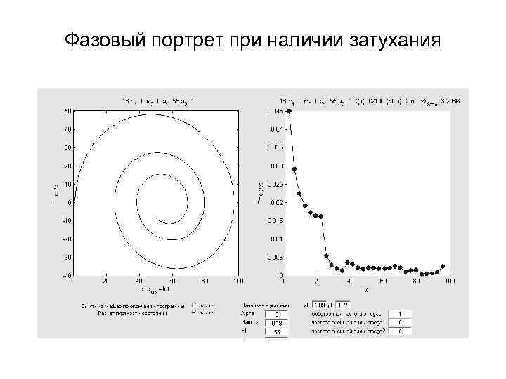 Фазовый портрет