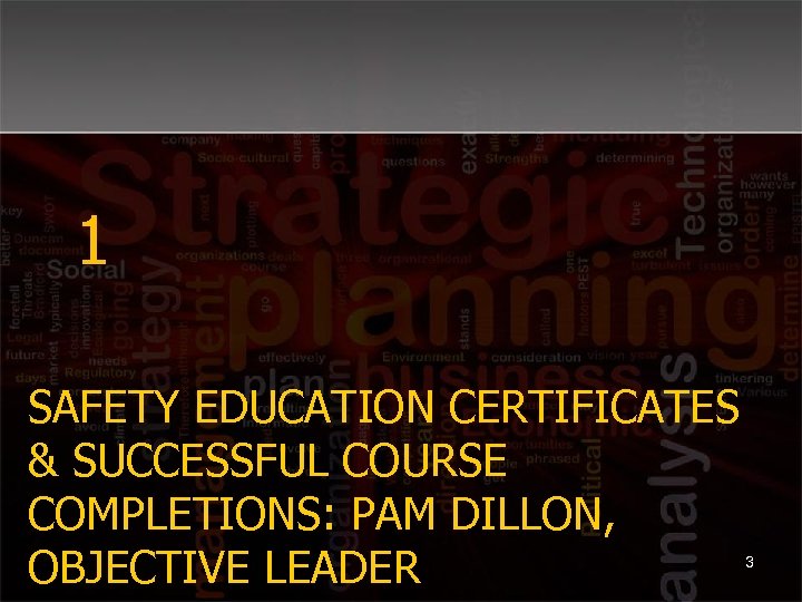 1 SAFETY EDUCATION CERTIFICATES & SUCCESSFUL COURSE COMPLETIONS: PAM DILLON, OBJECTIVE LEADER 3 