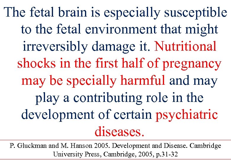 The fetal brain is especially susceptible to the fetal environment that might irreversibly damage