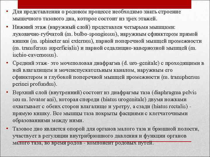  • Для представления о родовом процессе необходимо знать строение мышечного тазового дна, которое