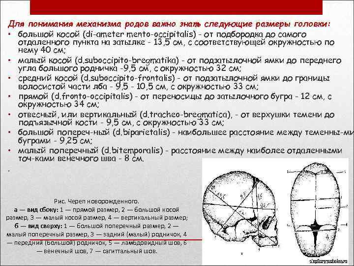 Для понимания механизма родов важно знать следующие размеры головки: • большой косой (di ameter