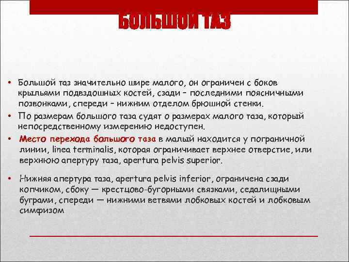 БОЛЬШОЙ ТАЗ • Большой таз значительно шире малого, он ограничен с боков крыльями подвздошных