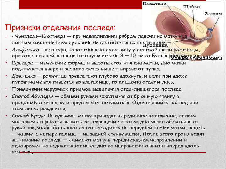 Признаки отделения последа: • • Чукалова—Кюстнера — при надавливании ребром ладони на матку над