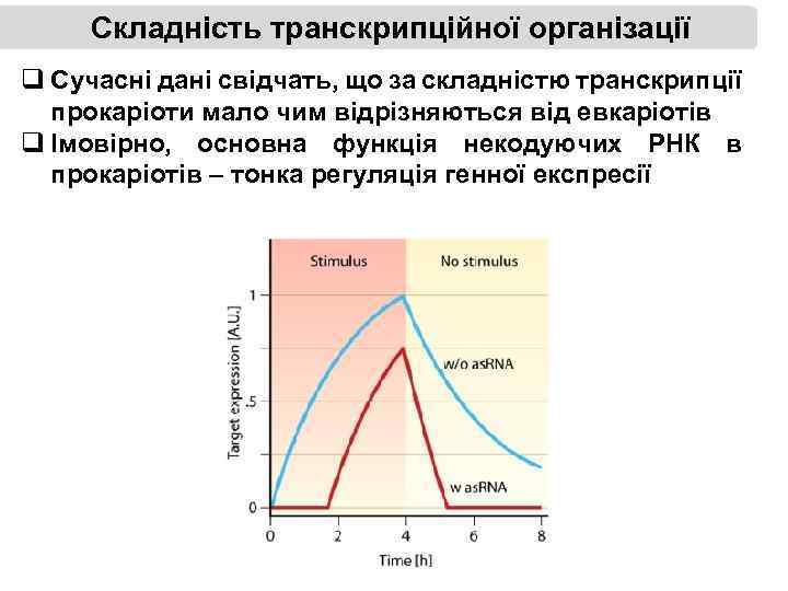 Складність транскрипційної організації q Сучасні дані свідчать, що за складністю транскрипції прокаріоти мало чим