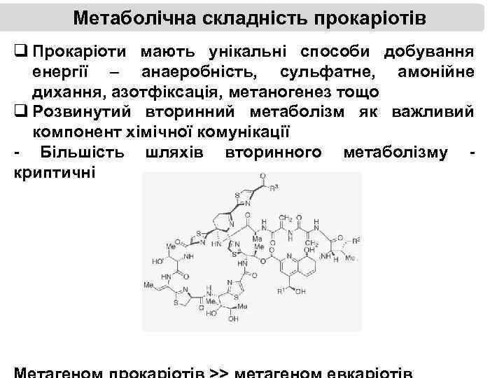 Метаболічна складність прокаріотів q Прокаріоти мають унікальні способи добування енергії – анаеробність, сульфатне, амонійне