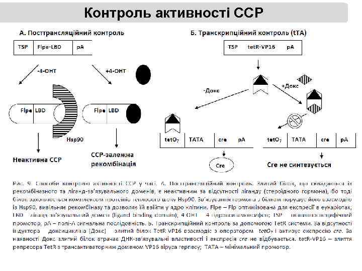 Контроль активності ССР 