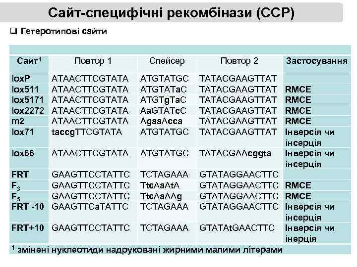 Сайт-специфічні рекомбінази (ССР) q Гетеротипові сайти Сайт1 Повтор 1 Спейсер Повтор 2 lox. P