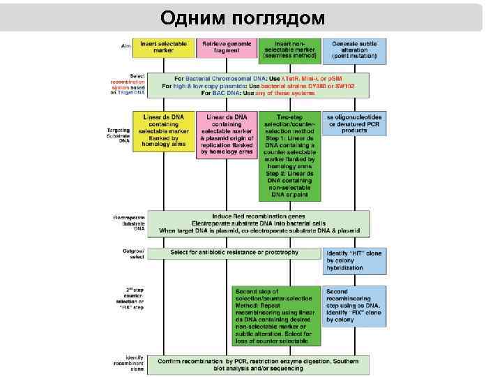 Одним поглядом 