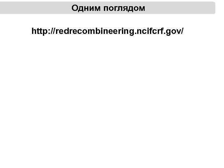 Одним поглядом http: //redrecombineering. ncifcrf. gov/ 