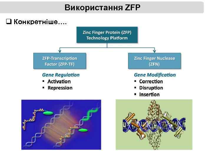 Використання ZFP q Конкретніше…. 