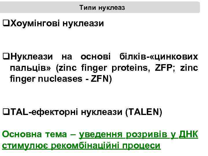 Типи нуклеаз q. Хоумінгові нуклеази q. Нуклеази на основі білків- «цинкових пальців» (zinc finger
