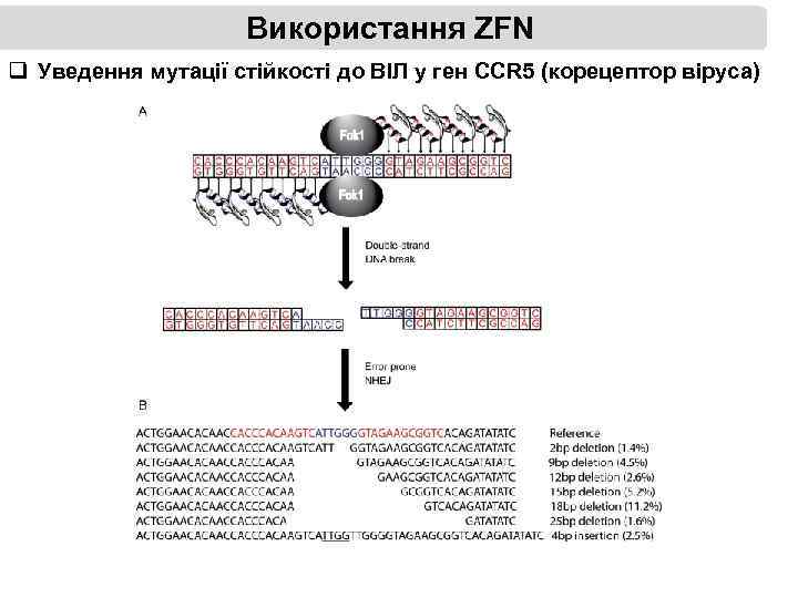 Використання ZFN q Уведення мутації стійкості до ВІЛ у ген CCR 5 (корецептор віруса)