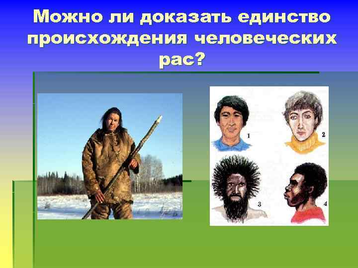 Можно ли доказать единство происхождения человеческих рас? 