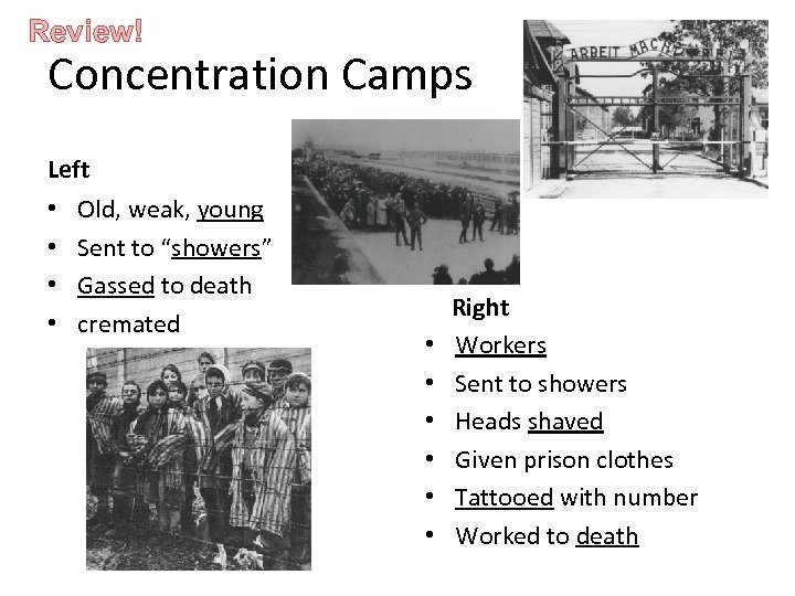 Review! Concentration Camps Left • • Old, weak, young Sent to “showers” Gassed to